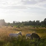 Powoli - Wyjatkowy W Izerach * Wolimierz