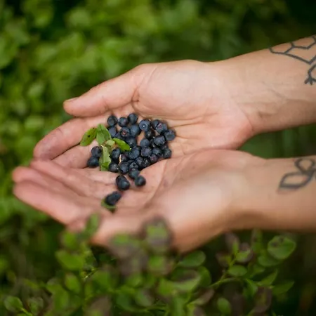 Powoli - Wyjatkowy W Izerach * Wolimierz