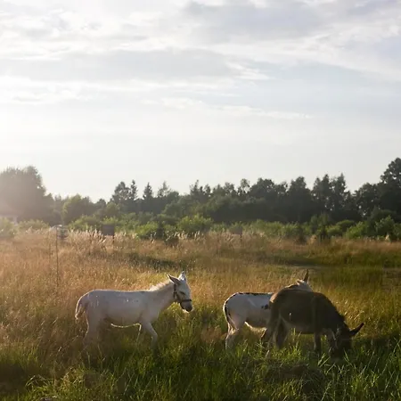 Powoli - Wyjatkowy W Izerach * Wolimierz
