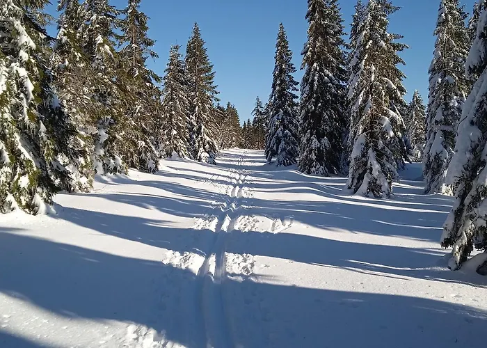 Powoli - Wyjatkowy W Izerach *