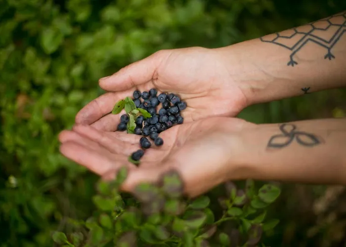 Powoli - Wyjatkowy W Izerach * Wolimierz