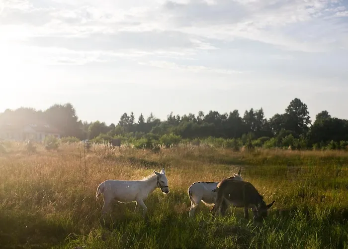 Powoli - Wyjatkowy W Izerach * Wolimierz